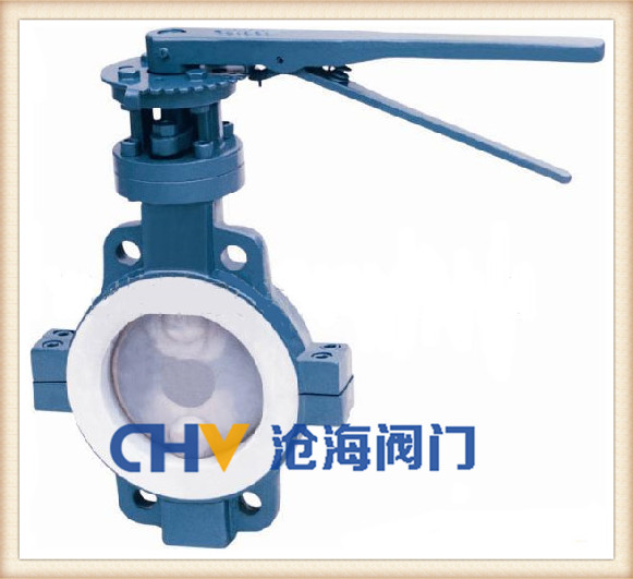 D71F46襯氟蝶閥